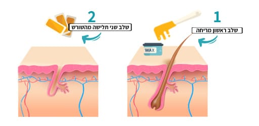 עיצוב גבות - מריטה של שעווה מהשורש