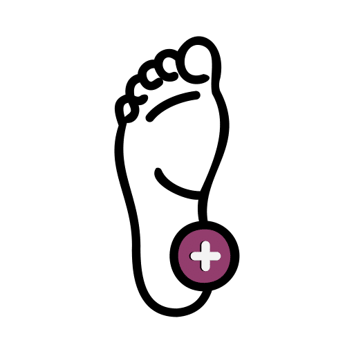 טיפול ביבלות